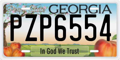 GA license plate PZP6554