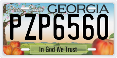 GA license plate PZP6560