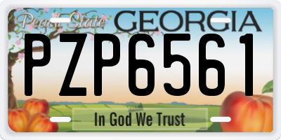 GA license plate PZP6561