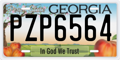 GA license plate PZP6564