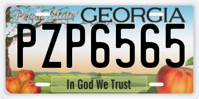GA license plate PZP6565