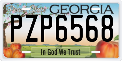 GA license plate PZP6568
