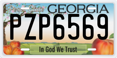 GA license plate PZP6569