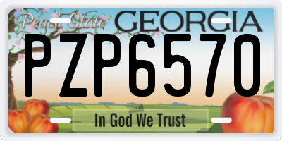 GA license plate PZP6570