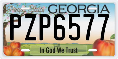 GA license plate PZP6577
