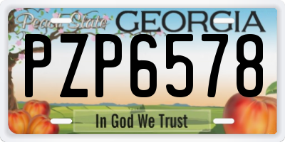GA license plate PZP6578