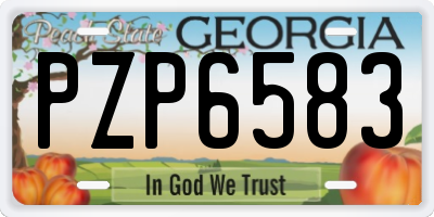 GA license plate PZP6583