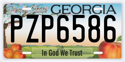 GA license plate PZP6586