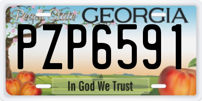 GA license plate PZP6591