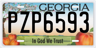 GA license plate PZP6593
