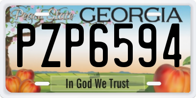 GA license plate PZP6594