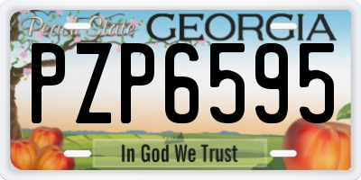 GA license plate PZP6595