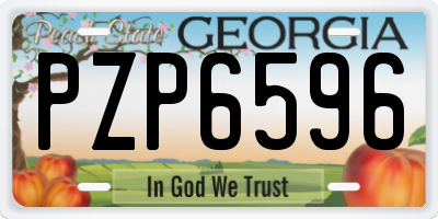 GA license plate PZP6596