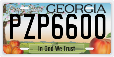 GA license plate PZP6600