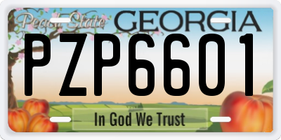 GA license plate PZP6601