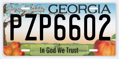 GA license plate PZP6602