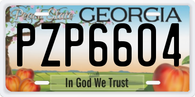 GA license plate PZP6604