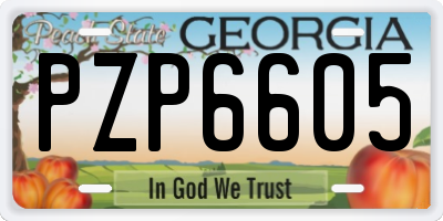GA license plate PZP6605