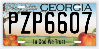 GA license plate PZP6607