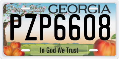 GA license plate PZP6608