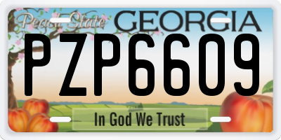 GA license plate PZP6609