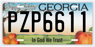 GA license plate PZP6611