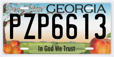 GA license plate PZP6613