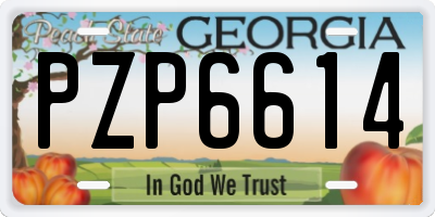 GA license plate PZP6614