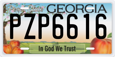 GA license plate PZP6616