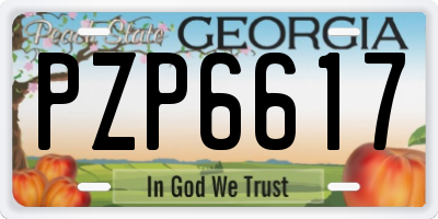 GA license plate PZP6617