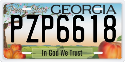 GA license plate PZP6618