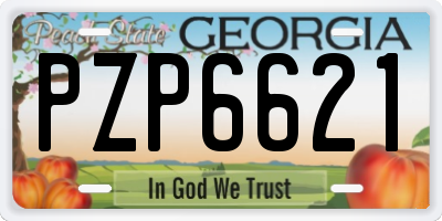 GA license plate PZP6621