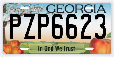 GA license plate PZP6623