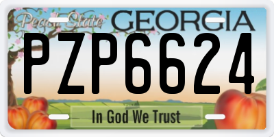 GA license plate PZP6624
