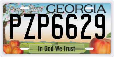 GA license plate PZP6629