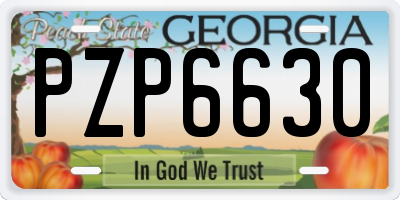 GA license plate PZP6630