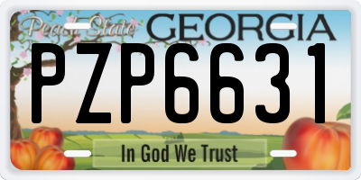 GA license plate PZP6631