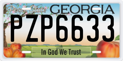 GA license plate PZP6633