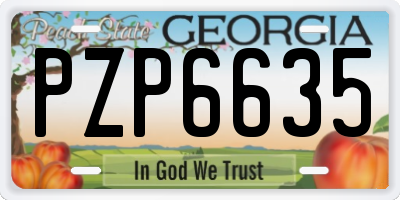 GA license plate PZP6635