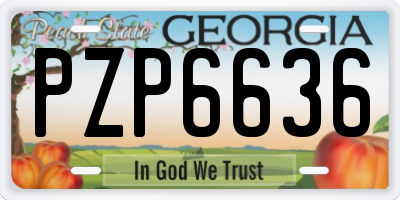 GA license plate PZP6636