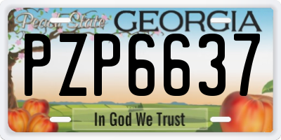 GA license plate PZP6637