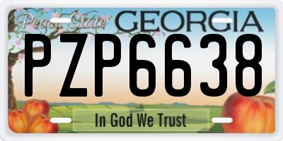 GA license plate PZP6638