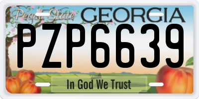 GA license plate PZP6639