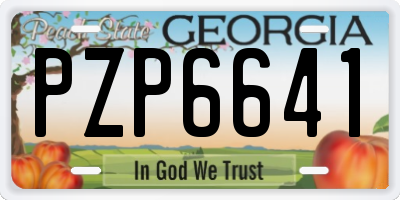 GA license plate PZP6641