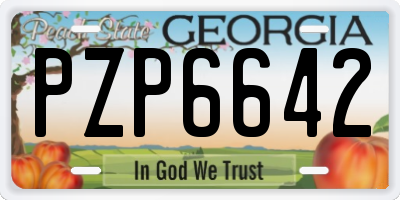 GA license plate PZP6642