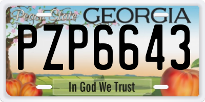 GA license plate PZP6643