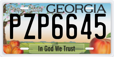 GA license plate PZP6645