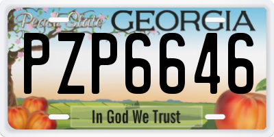 GA license plate PZP6646