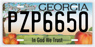 GA license plate PZP6650