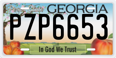 GA license plate PZP6653